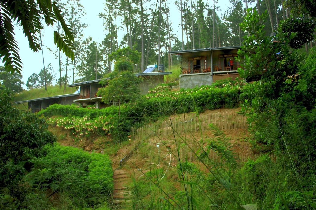 Rowinrich Cottages 엘라 외부 사진