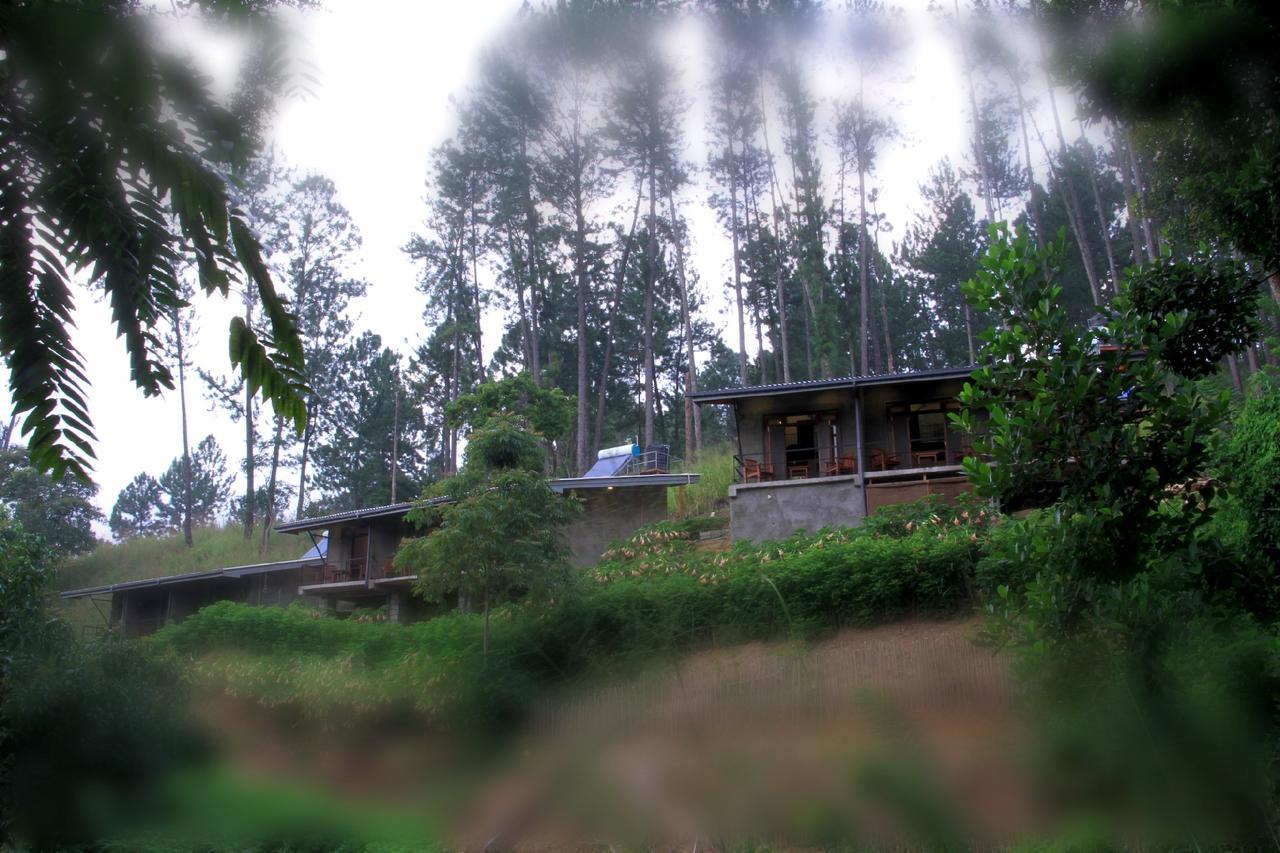 Rowinrich Cottages 엘라 외부 사진